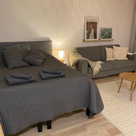 Viihtyisae Ja Hyvin Varusteltu Yksioe Hervannassa, Ilmainen Pysaekoeinti Apartamento