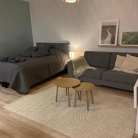 Viihtyisae Ja Hyvin Varusteltu Yksioe Hervannassa, Ilmainen Pysaekoeinti * Tampere