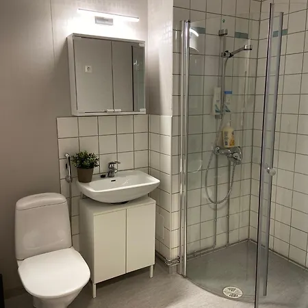 Apartment Viihtyisae Ja Hyvin Varusteltu Yksioe Hervannassa, Ilmainen Pysaekoeinti