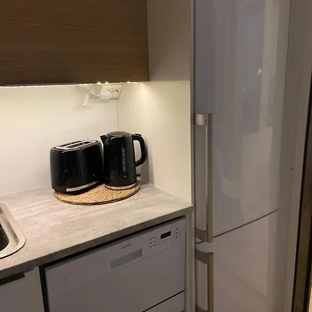 Viihtyisae Ja Hyvin Varusteltu Yksioe Hervannassa, Ilmainen Pysaekoeinti Tampere