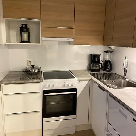 Viihtyisae Ja Hyvin Varusteltu Yksioe Hervannassa, Ilmainen Pysaekoeinti *