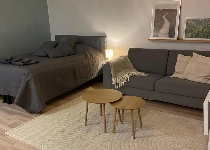 Viihtyisae Ja Hyvin Varusteltu Yksioe Hervannassa, Ilmainen Pysaekoeinti * Tampere