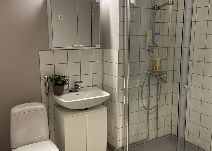 Apartamento Viihtyisae Ja Hyvin Varusteltu Yksioe Hervannassa, Ilmainen Pysaekoeinti