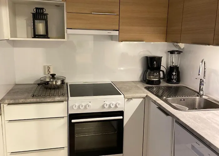 Viihtyisae Ja Hyvin Varusteltu Yksioe Hervannassa, Ilmainen Pysaekoeinti *