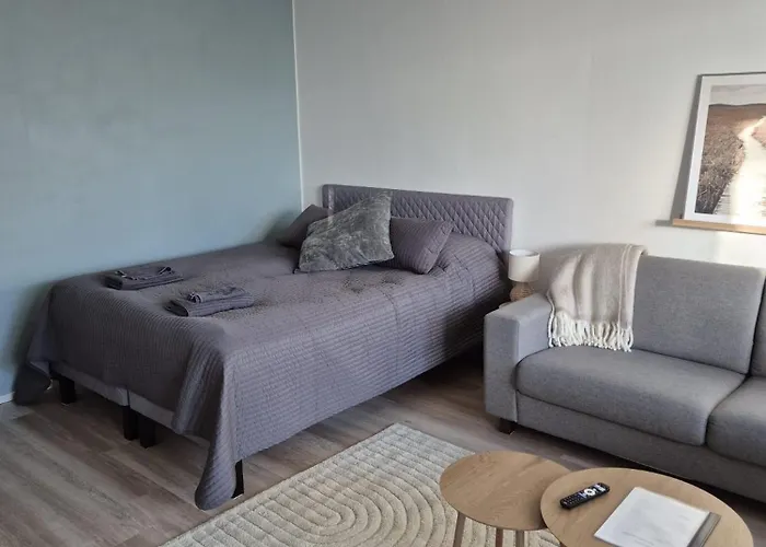 Viihtyisae Ja Hyvin Varusteltu Yksioe Hervannassa, Ilmainen Pysaekoeinti Apartamento